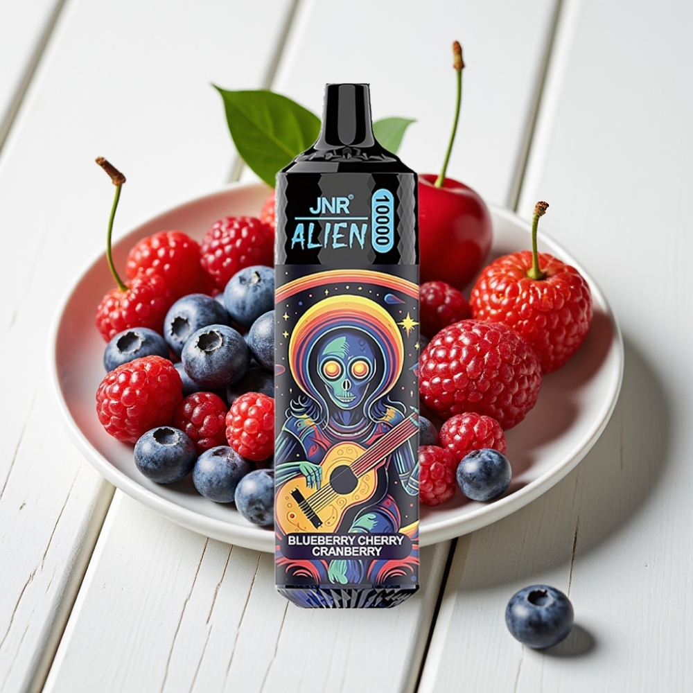 JNR Alien 10000 Puffs Mėlynės Vyšnios Spanguolės | 850mAh, 20ml, Type-C