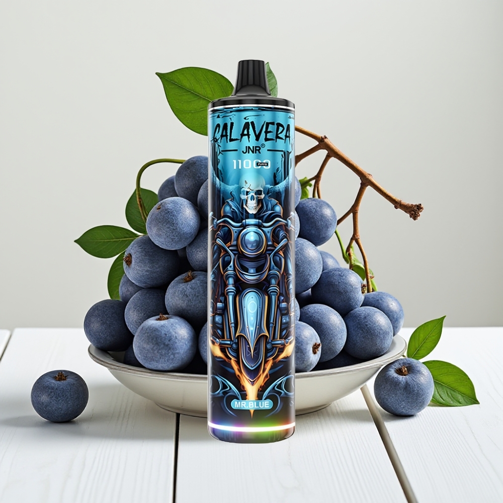 JNR Calavera 11000 Pūkų Vienkartinis Veipas Mėlynasis, 21ml, 850mAh, Type-C