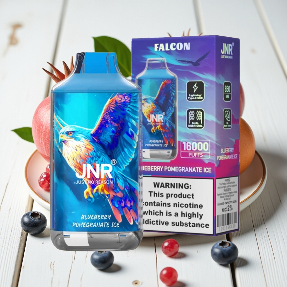 JNR Falcon 16000 Puffs Dūmai - Mėlynųjų serbentų granatų ledas, 850 mAh, 22ml, Type C