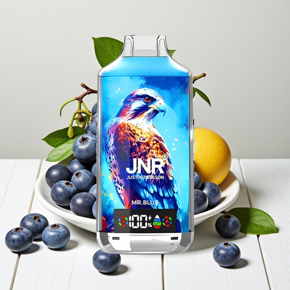JNR Falcon X 18000 Puffs Aparatinis Vaporizatorius Mėlynasis – 24ml, 750mAh, Type-C