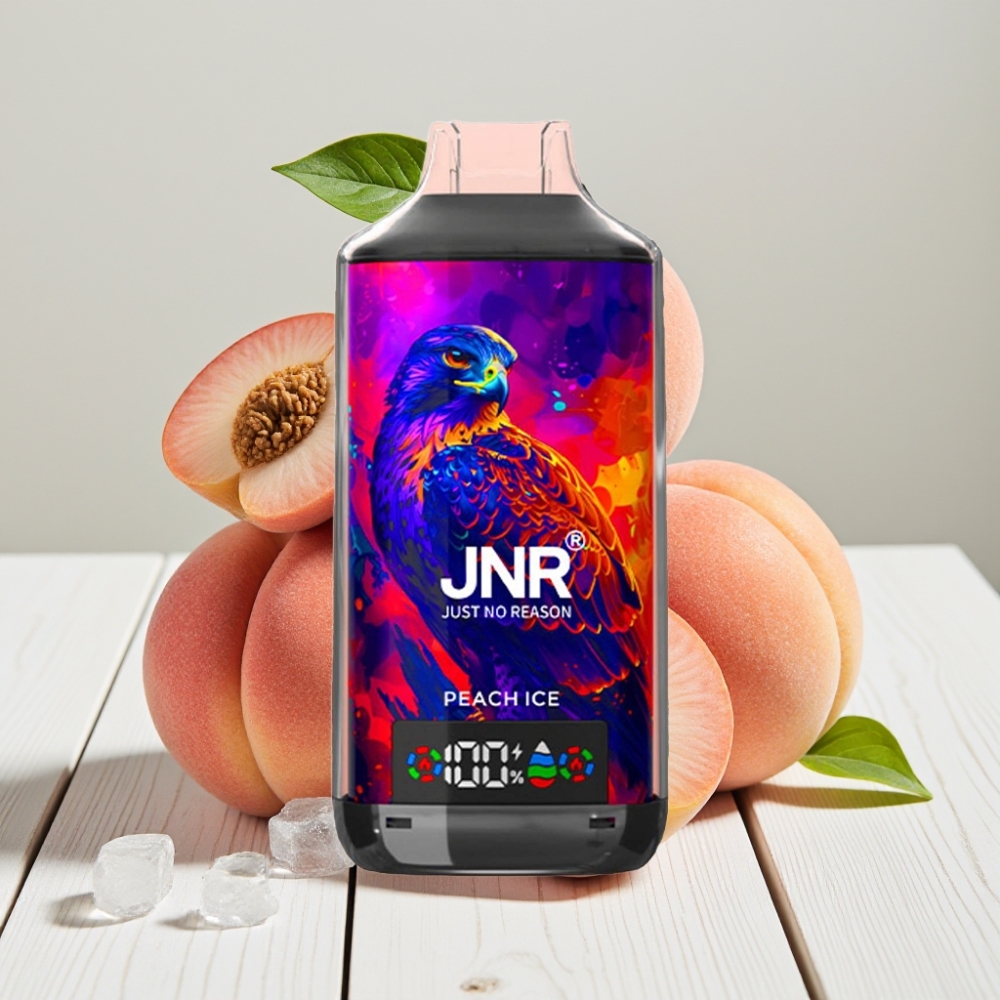 JNR Falcon X 18000 Puffs Persikų Ledas | 750mAh, 24ml, Type-C