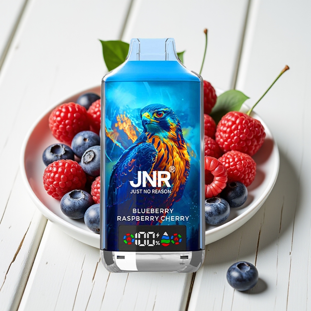 JNR Falcon X 18000 Puffs Vienkartinis Veipas Mėlynųjų Aviečių Vyšnių, 24ml, 750mAh, Type-C