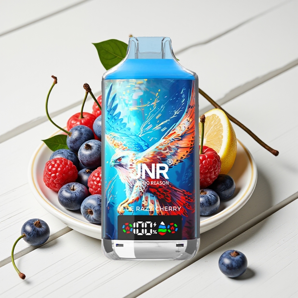JNR Falcon X 18000 Puffs Vienkartinis Veipas Mėlynųjų Serbentų Vyšnių, 24ml, 750mAh, Type-C