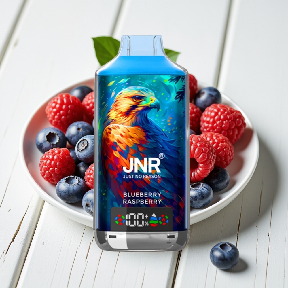 JNR Falcon X 18000 Puffs Vienkartinis Veipas Mėlynių Aviečių, 24ml, 750mAh, Type-C