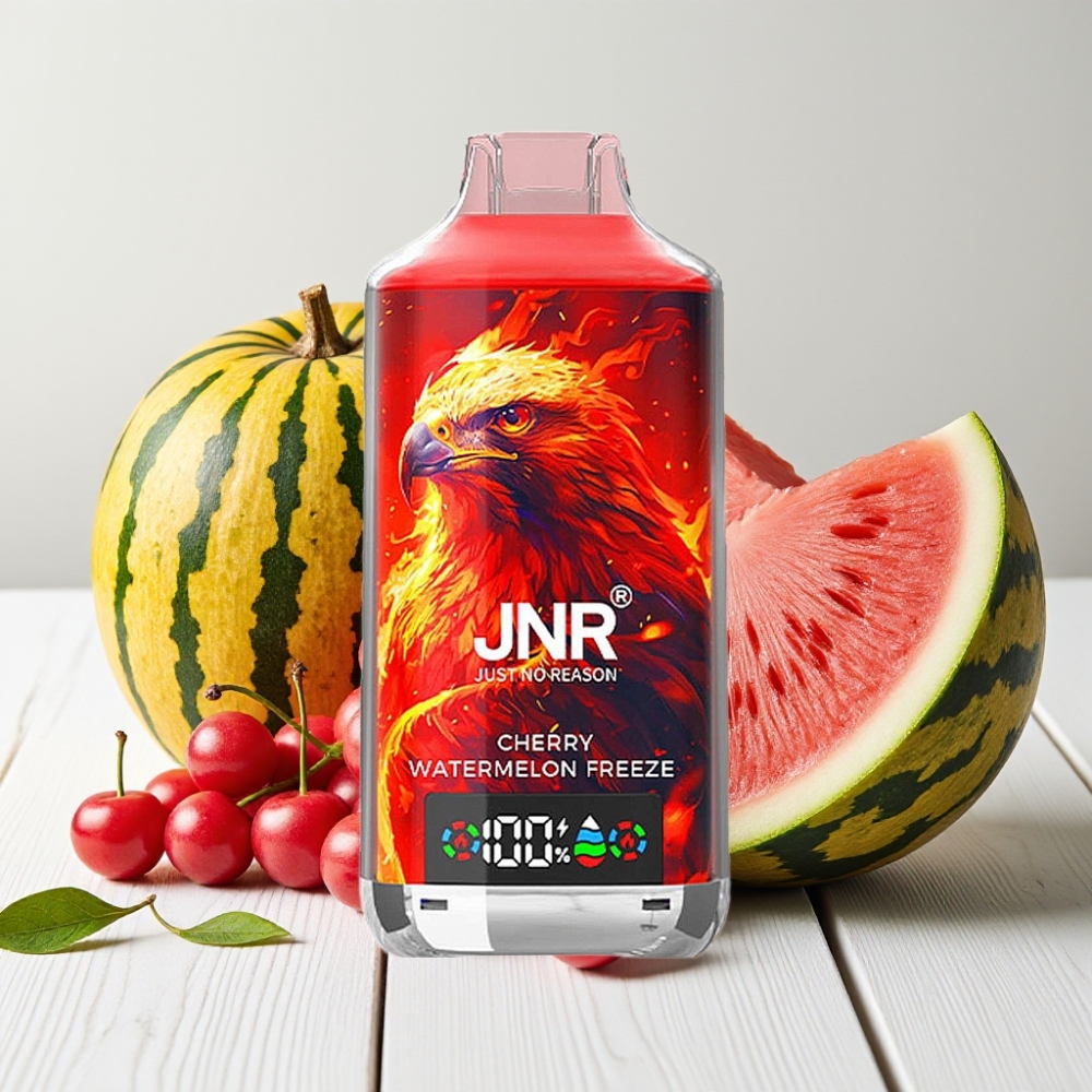 JNR Falcon X 18000 Puffs Vienkartinis Veipas Vyšnia Arbūzas Šaldytas, 750mAh, 24ml, Type-C