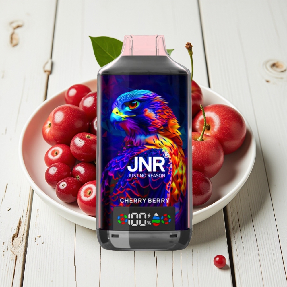 JNR Falcon X 18000 Puffs Vienkartinis Veipas Vyšnia Uoga, 24ml, Dual Mesh Coil, Type-C