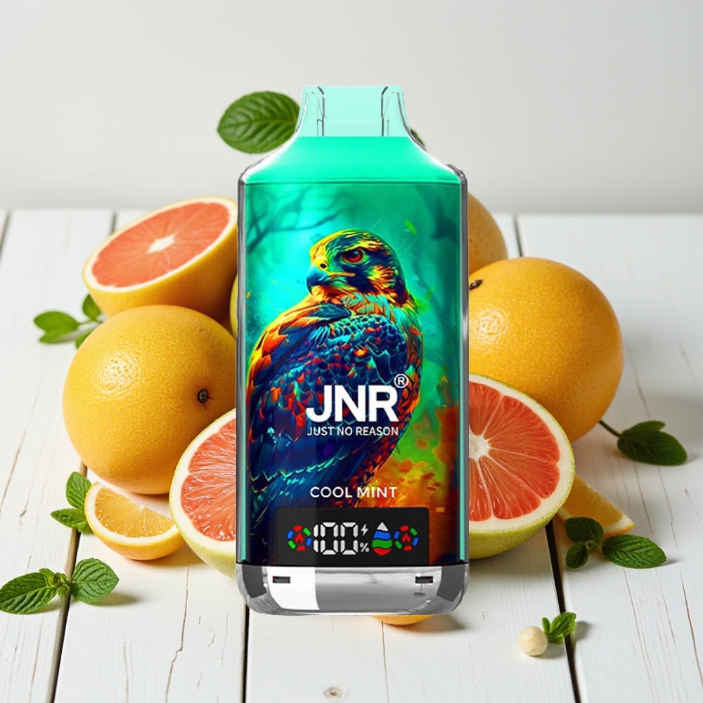 JNR Falcon X 18000 Puffs Šalta Mėta, 750mAh, 24ml, Dviguba Dėžutė