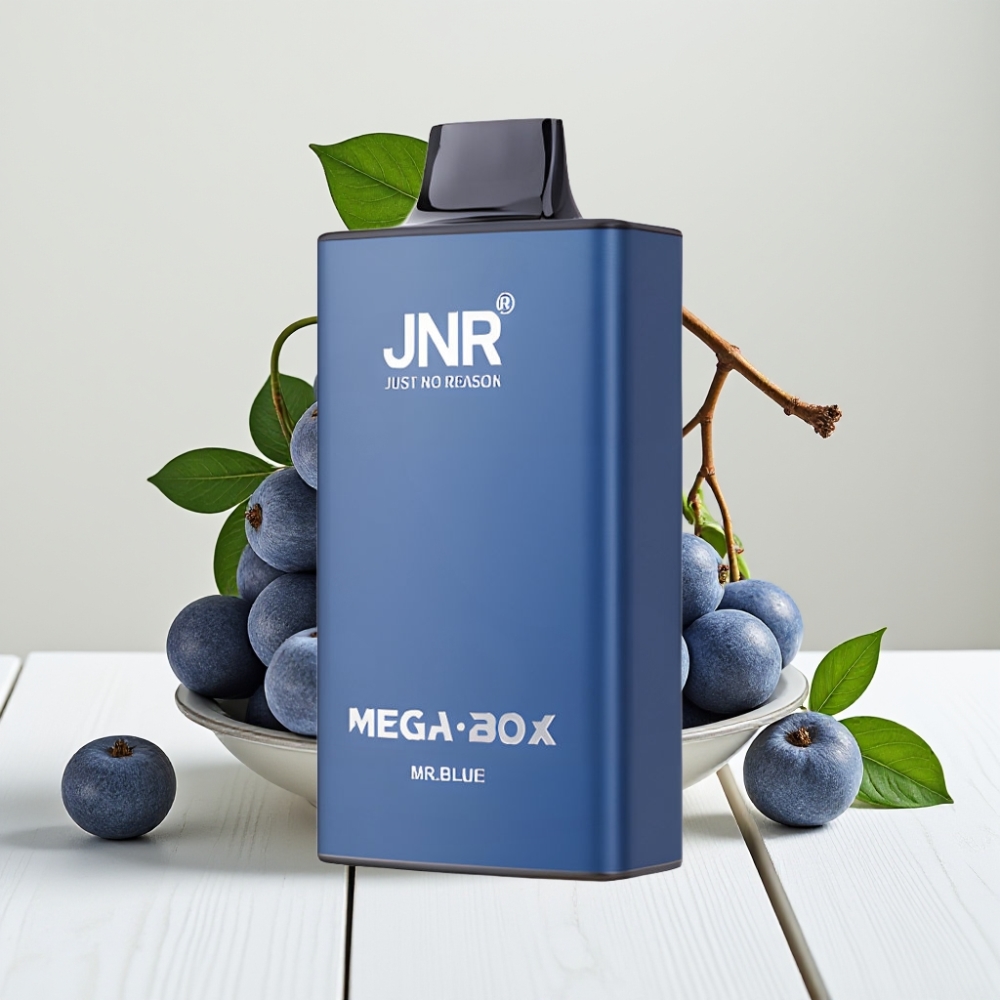 JNR Mega Box 25000 Pūkų Vienkartinis Veipas Mėlynasis (Mr Blue) | 30ml, 850mAh, Type-C