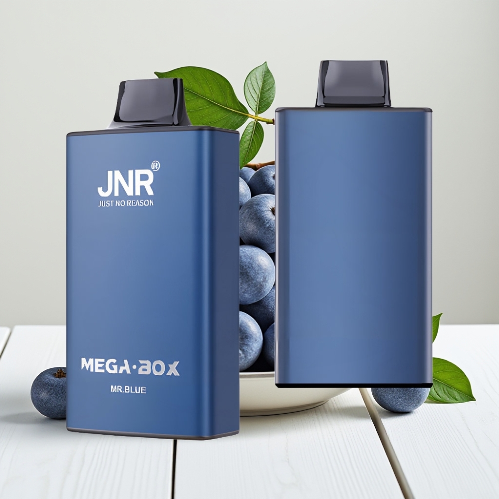 JNR Mega Box 25000 Pūkų Vienkartinis Veipas Mėlynasis (Mr Blue) | 30ml, 850mAh, Type-C