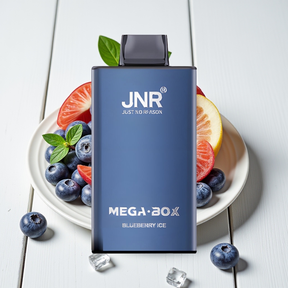 JNR Mega Box 25000 Pūsų Vienkartinis Veipas Mėlynųjų Uogų Ledas, 30ml, 850mAh, Type-C