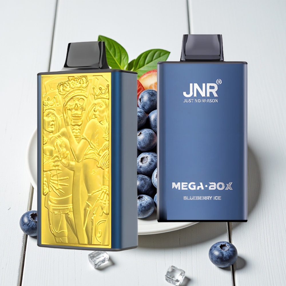 JNR Mega Box 25000 Pūsų Vienkartinis Veipas Mėlynųjų Uogų Ledas, 30ml, 850mAh, Type-C