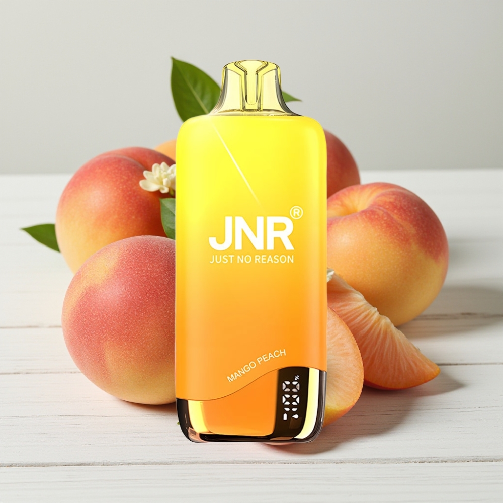 JNR Rainbow 10500 Puffs Vienkartinis Veipas Mangas Persikas | 600mAh, 18ml, Type-C