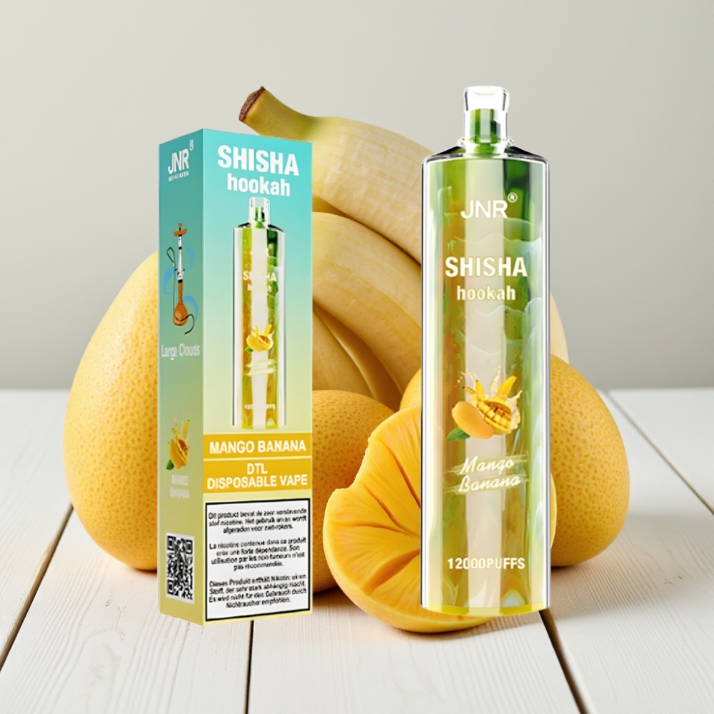 JNR Shisha Hookah 12000 Puffs Dizpozicinis Vapas Mangas Bananas | 24ml, 750mAh, Type-C