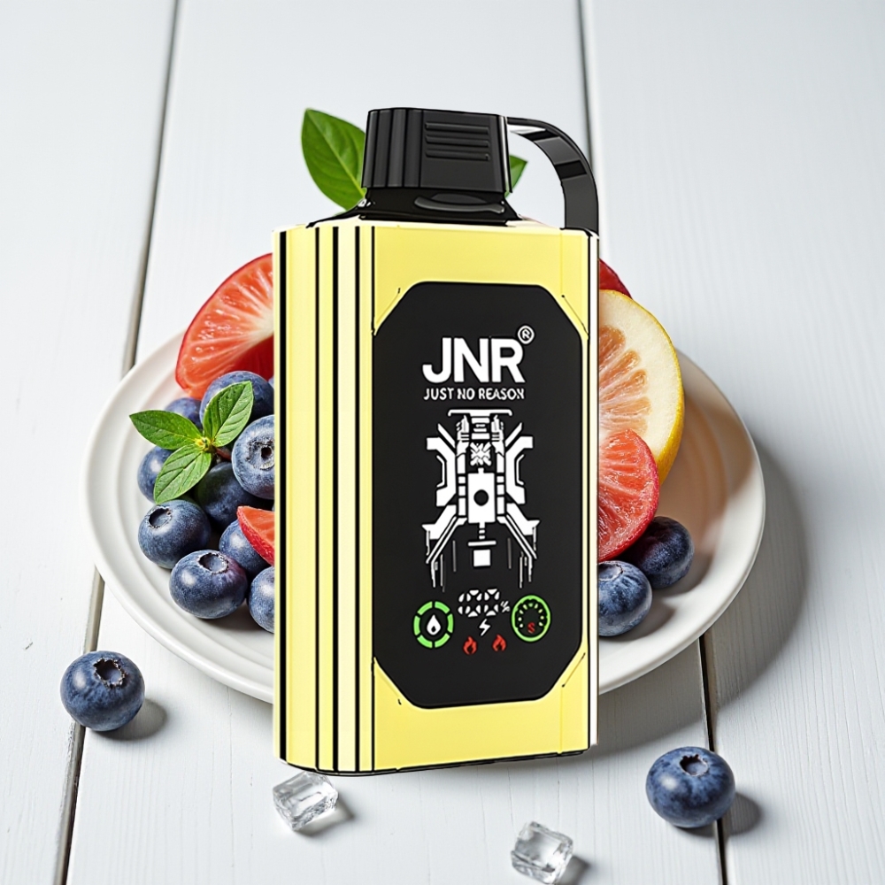 JNR Shisha Hookah Box 20500 Puffs Vienkartinis Veipas Mėlynųjų Uogų Ledas | 25ml, 1000mAh, Type-C