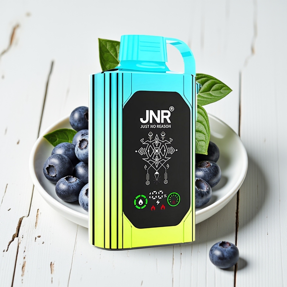 JNR Shisha Hookah Box 20500 Puffs Vienkartinis Veipas Mėlynųjų Uogų Mėta, 25ml, 1000mAh, Type-C
