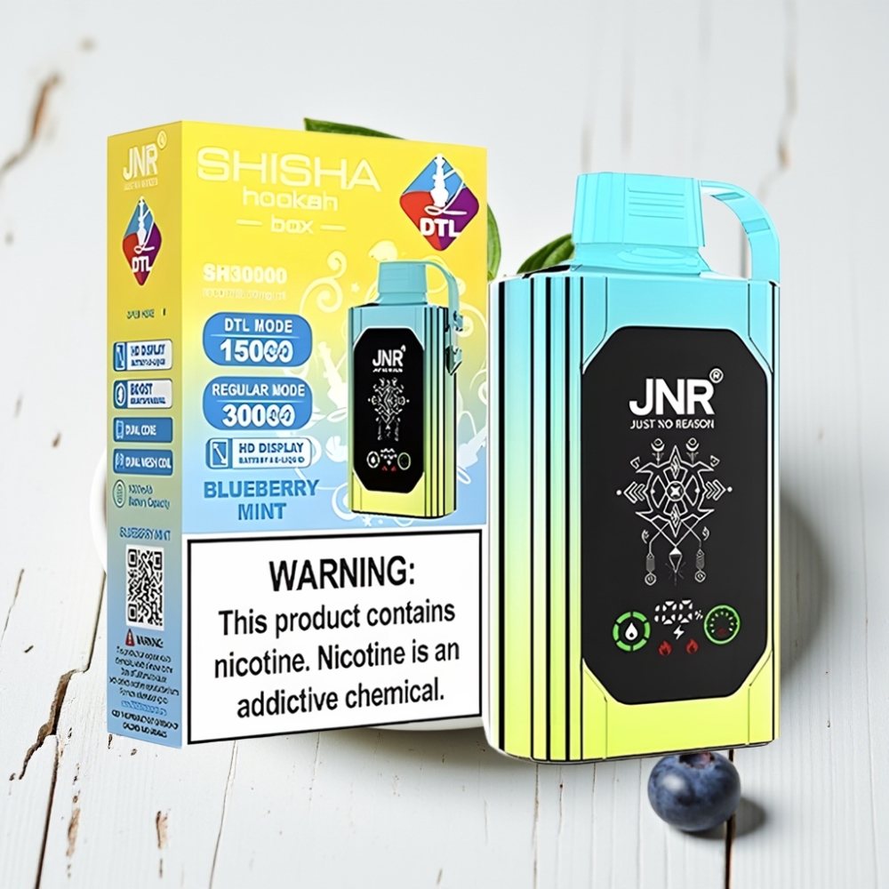 JNR Shisha Hookah Box 20500 Puffs Vienkartinis Veipas Mėlynųjų Uogų Mėta, 25ml, 1000mAh, Type-C