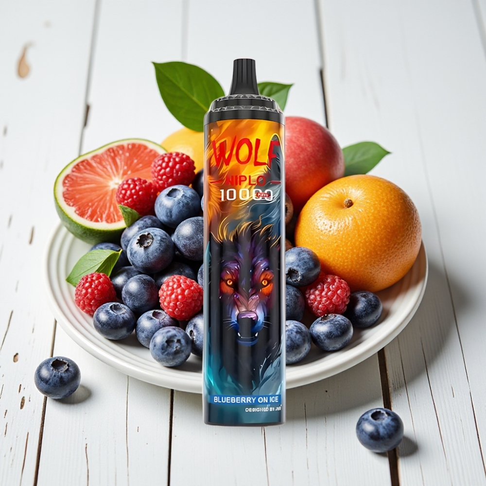 JNR Wolf Niplo 10000 Puffs Vienkartinis Veipas Mėlynių Uogų Su Ledu, 20ml, 5% Nikotino, Type-C