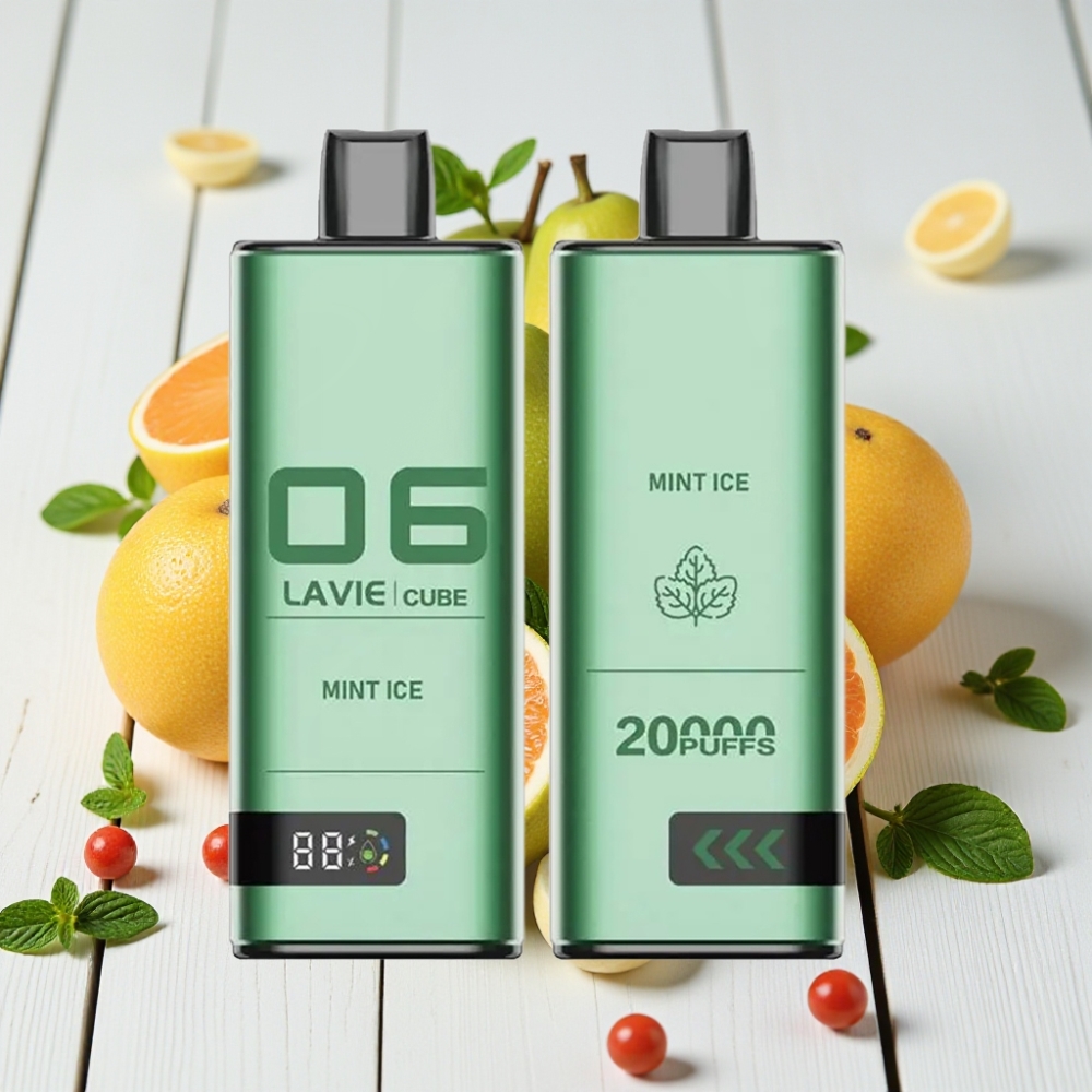 Lavie Cube 20000 Puffs Vienkartinis Veipas Mėtų Ledas | 28ML, 5% Nikotino, Type C