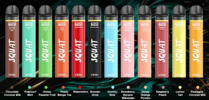 VEIIK E Liquid | VEIIK Squat Mesh 1800 išpūtimų vienkartinis vape rašiklis 10vnt kelių skonių 2DNR54